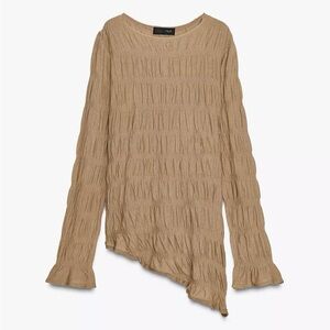 Zara Ruched Knit Long Sleeve Asymmetrical Top